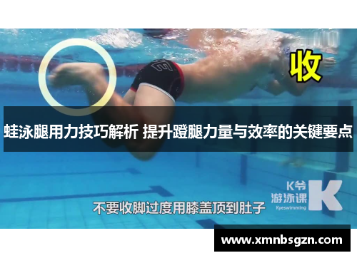 蛙泳腿用力技巧解析 提升蹬腿力量与效率的关键要点